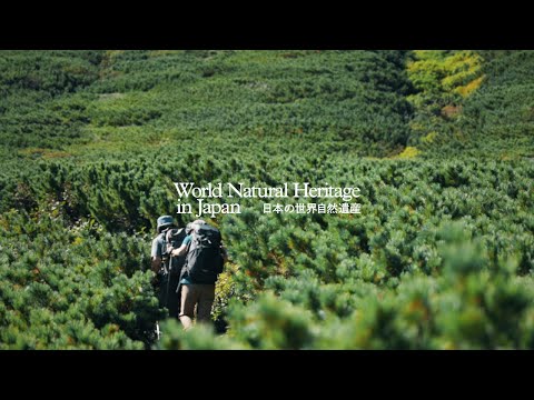 世界自然遺産の1日をめぐる｜日本の世界自然遺産　Through a Day at World Natural Heritage | World Natural Heritage in Japan