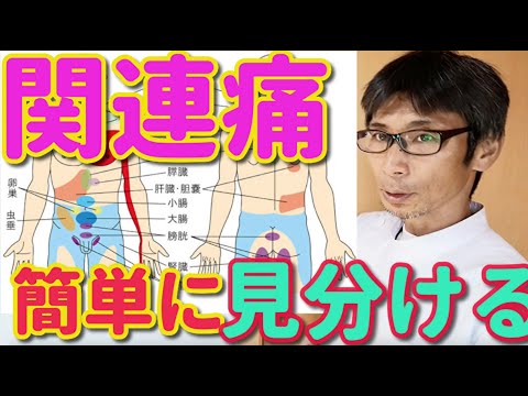 腰・肩・背中の痛みは内臓から来る場合がある！関連痛・放散痛を簡単に見分ける方法