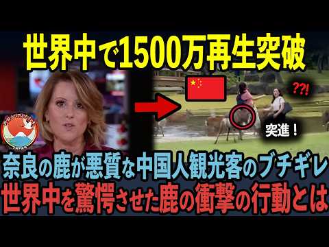 【海外の反応】鹿がブチギレた動画が1500万再生突破！執拗な嫌がらせをした中国人観光客の末路…