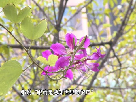 秋季摘镜顾虑多？医生解释：部分症状非手术绝对禁忌