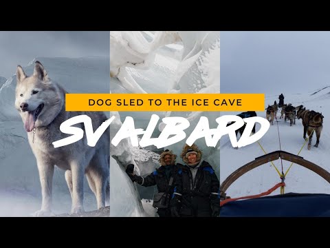 DOG SLED to the ICE CAVE | SVALBARD Norway