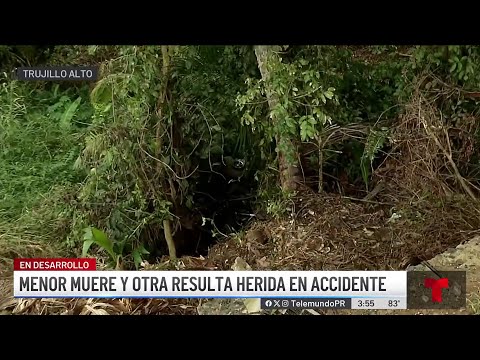 Niña de 13 años fallece en accidente con "go kart"