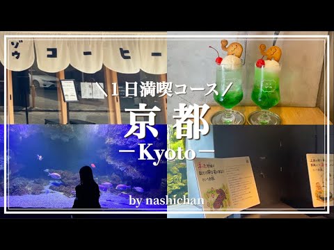 [vlog] Kyoto day trip/Wandering around Kyoto Station/Kyoto Aquarium🐟/Kyoto Cafe