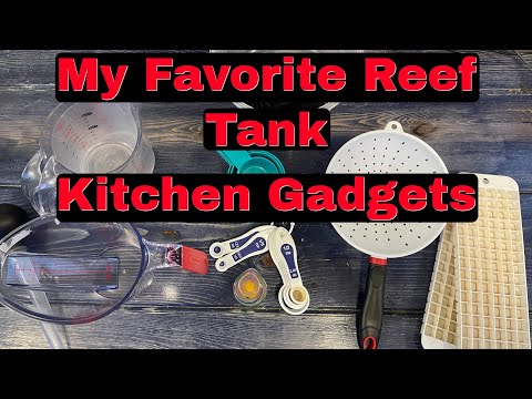 Reef Tank Aquarium Tools ( Our Favorite Kitchen Gadgets That We Use For Our Reef Tank Aquarium )