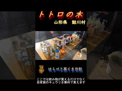 はらペコ茶くま日記　トトロに会いに行こう！ 山形県　＃shorts