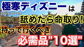 [解説]2023-2024冬ディズニーは舐めたら終わる...忘れたら困る必需品10選！