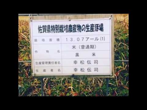 日本酒【天吹　ぴんくれでぃ】原材料米の産地より（九州 佐賀県伊万里市東山代町川内野）２０１７年０１月１４日