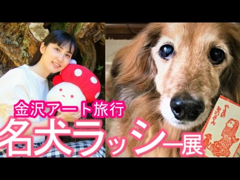 金沢アート旅「普通の主婦山川さんの愛犬アートコレクション」