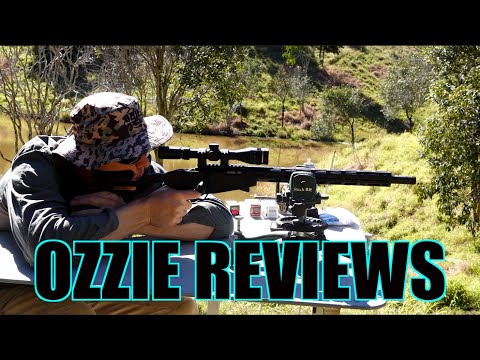 Ruger "Precision" Rimfire Rifle 22 Magnum (with accuracy testing)