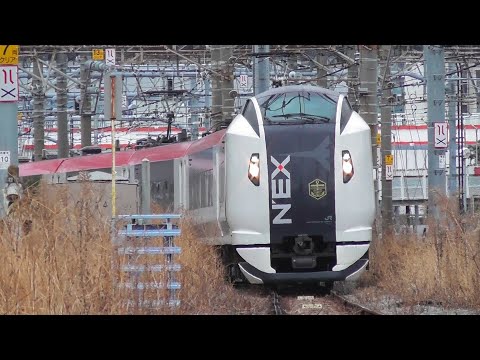 【東海道線】団体列車E259系　マリンエクスプレス踊り子　2024.2.17