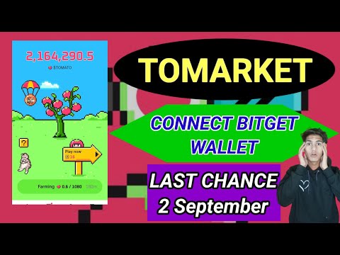 Tomarket Connect Bitget Wallet Step By Step Last Chance 2 September 😯