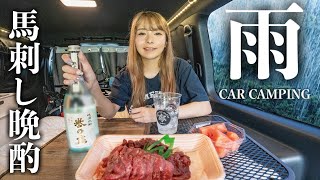 【雨の車中泊】熊本焼酎と馬刺しで最高のハイエース引きこもりDAY