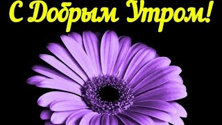 С добрым утром, Открытки с добрым утром, С добрым утром открытки, Пожелание с добрым утром, Утро