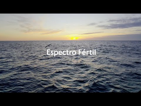 Espectro Fértil | ColorLife TRENDS 2025