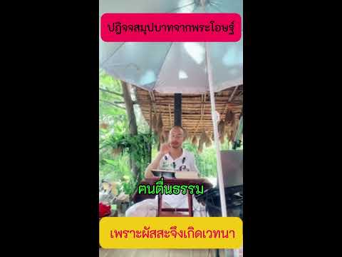 11 เพราะผัสสะจึงเกิดเวทนา   #ปฎิจจสมุปบาทจากพระโอษฐ์  #ข้อคิดคำสอน #คนตื่นธรรม