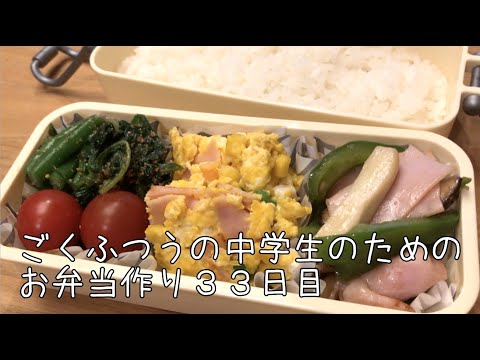 33日目♫ごく普通の中学生のためのお弁当づくり♫買い物に行けなかった日のお弁当♫