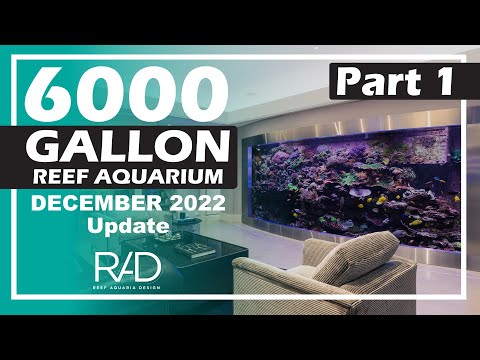 6000 GALLON REEF AQUARIUM IN ATLANTA, GEORGIA BY REEF AQUARIA DESIGN. DECEMBER 2022 UPDATE. PART 1.