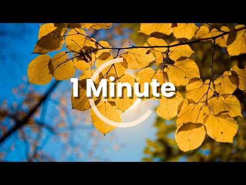 Instant Relaxation - 1 Min / 60 Sec Mindful Moment – “Yellow Leaves"