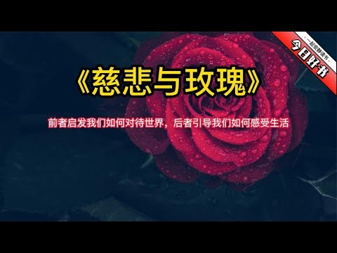 《慈悲与玫瑰》我们如何对待世界，我们如何感受生活