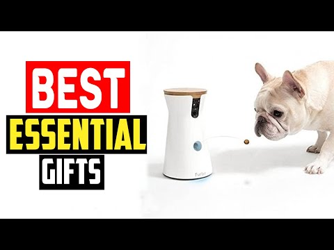 ✅Top Best Essential Gifts for New Dog Owners in 2024