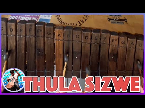 Thula Sizwe: Unique Overhead Marimba Performance!