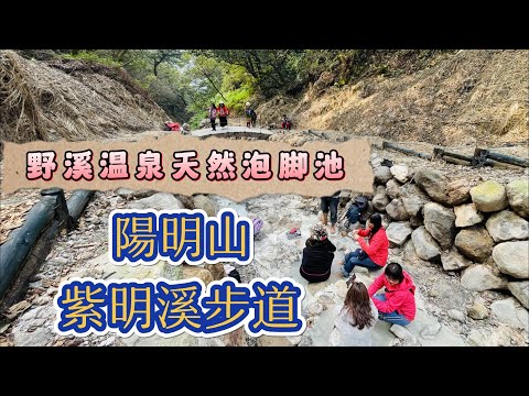 陽明山紫明溪步道野溪溫泉天然泡腳池