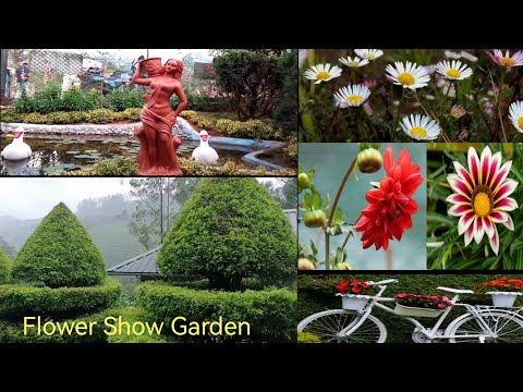 Flower Show Garden Meesapulimala Peak Munnar