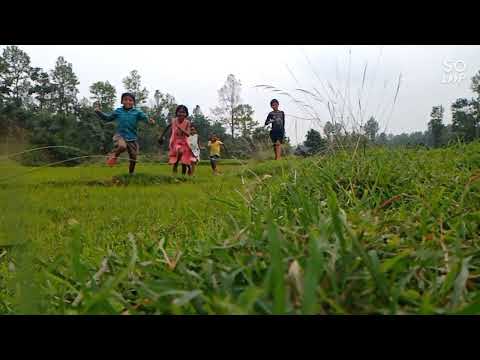 Village vibes 🌾🌴#village #myvillage #beautifulnature #jharkhand #bachpan