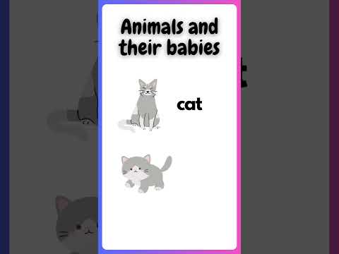 animals & Their bibies #shorts #englishvocabulary