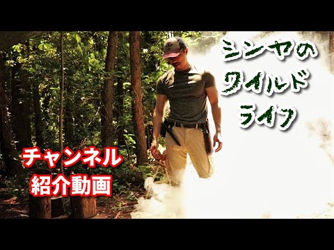 チャンネル紹介動画　シンヤのワイルドライフ