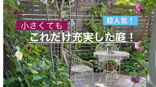 春のお庭めぐり　千葉 T邸　小さくても充実した庭！　美しい下草使いはおまかせ！