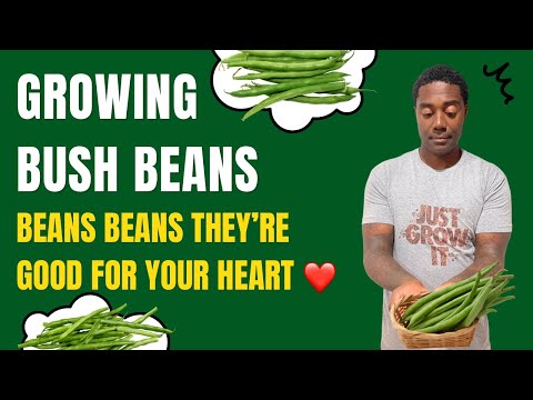 Grow Bush Beans Like a Pro With Easy Steps – Find Out How! | Grow With Me March 2023