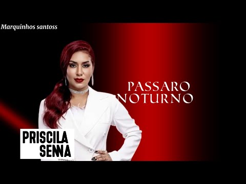 Pássaro Noturno - Priscila senna (Repertório dezembro de 2023)