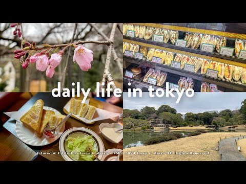 東京櫻花預測翻車現場🌧️六義園枝垂櫻開花🌸 | 巢鴨昭和懷舊咖啡廳＆老式手作三明治專賣 | LDK年度評鑑BEST BUY梳子🏅 | freya c. diary