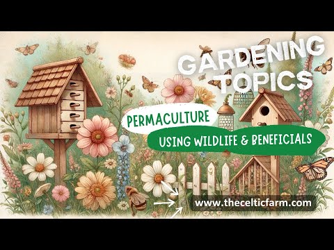 Permaculture to Boost Your Garden’s Health: How to Attract Wildlife & Pollinators Naturally!