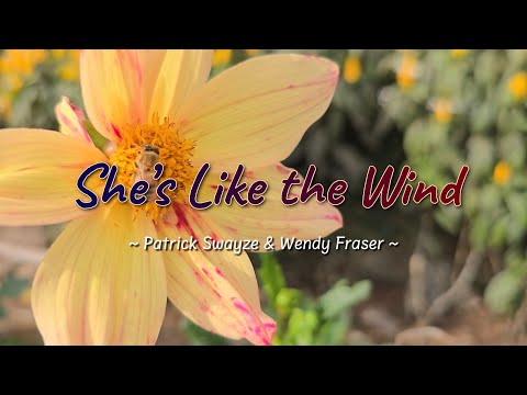 SHE'S LIKE THE WIND - (Karaoke Version) - in the style of Patrick Swayze & Wendy Fraser