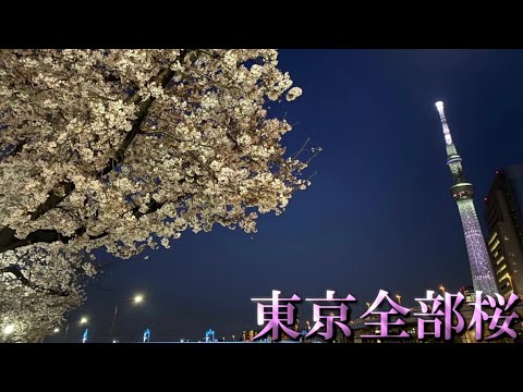 【過酷】東京の桜の名所を1日で巡る企画が辛すぎた…(花疲れ編)【東京全部桜を作りたい!!】