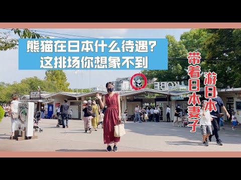 【日本旅游】国宝大熊猫在日本就是霸道，不服不行！