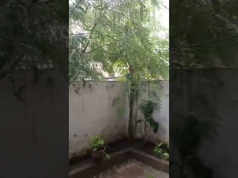 Ye Mosam Ki Barish 😍 | #shorts #shortsvideo #shortvideo #short #barish #barishstatus