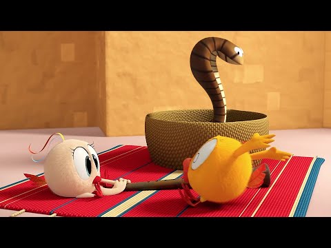 Chicky and the king snake | Where's Chicky?  | Cartoon Collection in English for Kids | New episodes