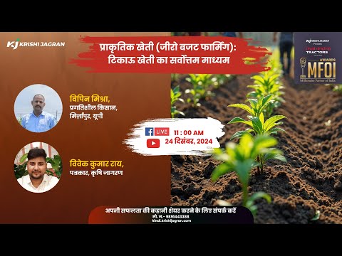 Natural Farming: प्राकृतिक खेती (जीरो बजट फार्मिंग): टिकाऊ खेती का सर्वोत्तम माध्यम