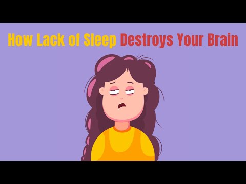 How lack of sleep destroys your brain (and how to fix it)