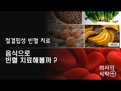 빈혈 (3) : 음식으로 빈혈 치료해 볼까? 철결핍성 빈혈의 치료 : 철분제