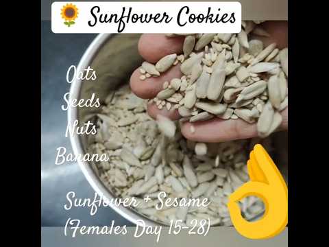 Sunflower+Sesame Seeds Cookies #healthy #sweets #baking #seedcycling