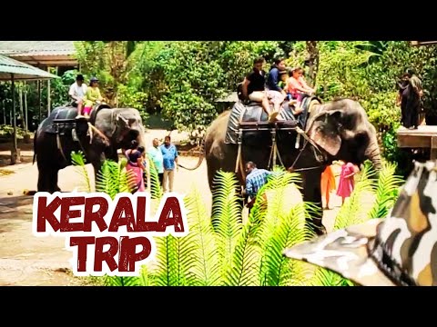 Fun and Entertainment #kerala #trending #elephant #thriller #funny #trip