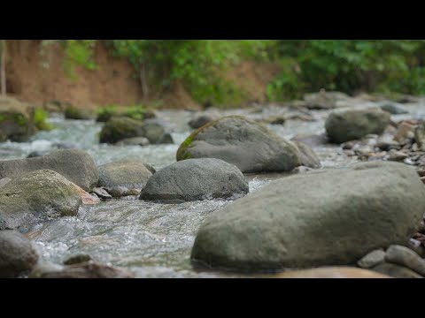 Nature Sounds Waterfall River Relaxation Meditation-Relaxing Calm River Water Flow for Sleeping