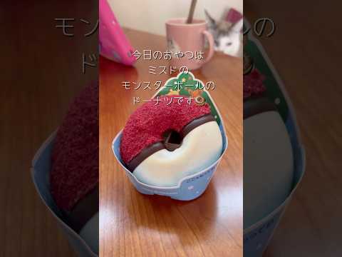 早く食べたいにゃ #ねこ動画 #ねこのいる暮らし #こどもとねこ #ミスド #ポケモンドーナツ #モンスターボール #早く食べたい #ことねこくらし