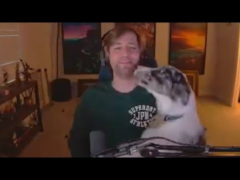 Sodapoppin's Dogs Crash the Stream at the Worst Time Ever!