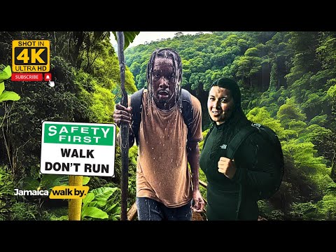 ✔️Walking To Blue Mountains Peak Jamaica Full Tour - HIKING IS NOT FOR THE WEAK 4K 2024