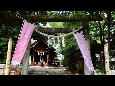 ◉音無神社 お詣り【巨木】夫婦樹 20230601 八重姫ゆかりの地 伊東温泉「竹あかり」を便りに